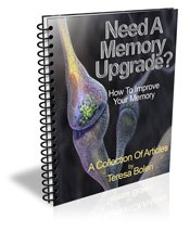 Need A Memory Upgrade